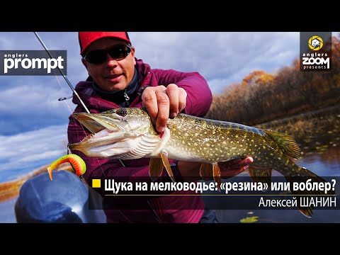 Видео: Щука на мелководье: «резина» или воблер. Алексей Шанин. Anglers Prompt