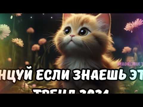 Видео: 💗ТАНЦУЙ ЕСЛИ ЗНАЕШЬ ЭТОТ ТРЕНД 2024💗