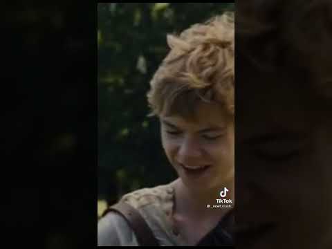 Видео: 🎄💗Ньют и т/и💗🎄#22