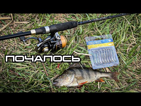 Видео: Дістав його і почалось! Роздача окуня на Ірпені!