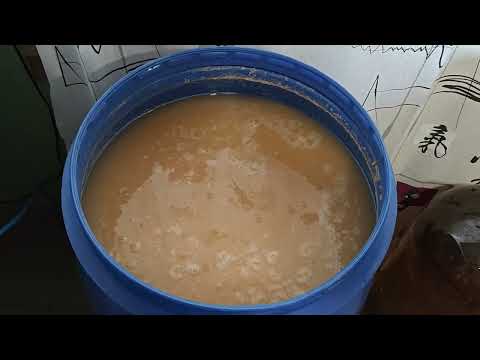 Видео: Что нужно знать о дрожжах!!! Виски в домашних условиях...