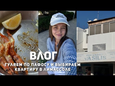 Видео: ВЛОГ: выбираем где жить на Кипре - Лимассол или Пафос? обзор квартир в Лимассоле
