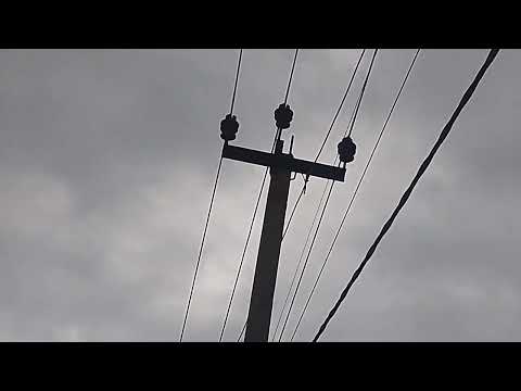 Видео: Нашёл изолятор шс,10 г и изолятор шф 20г