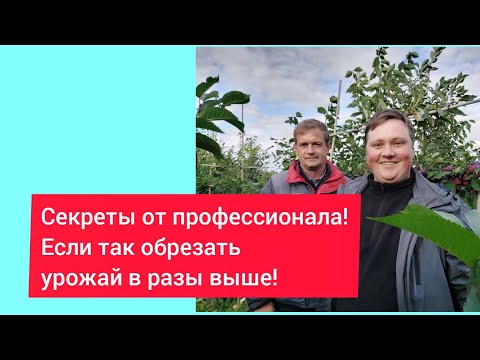 Видео: ДЕРЕВО САД- МЕЧТА САДОВОДА!  Эти деревья не дают мне спокойно спать!