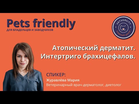 Видео: Атопический дерматит. Интертриго брахицефалов.