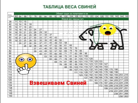 Видео: Цена на мясо. Сдаем свиней. Как быть?