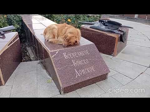 Видео: Вознесенский собор  Новочеркасск 28 10 2025