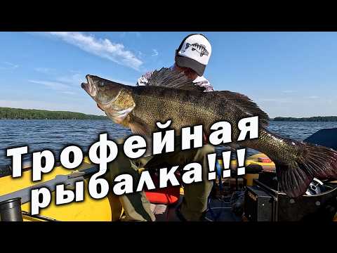 Видео: ТРОФЕЙНАЯ РЫБАЛКА В ДЕСНОГОРСКЕ!!! МОНСТРЫ ЗА 20 КГ!!!