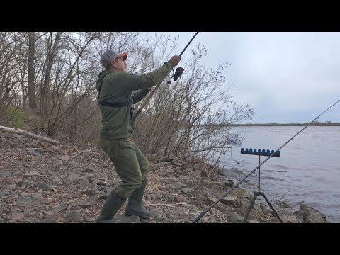 Видео: ФІДЕР на ДНІПРІ. Рибалка вдалася на всі 100%!