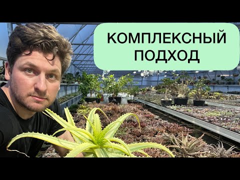 Видео: Комплексный подход к выращиванию растений. Георгий Аристов - лекция с глубоким смыслом ☝️☺️