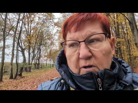 Видео: ЗОЛОТАЯ ОСЕНЬ , ПОКОЙ И ОТДЫХ НА СВЕЖЕМ ВОЗДУХЕ! / 1797