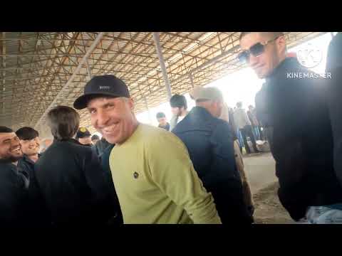 Видео: Ринок г Душанбе Рудаки Ленинский район падписатся барои пеш рави 17.03.25.год