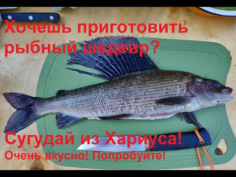 Видео: Рецепт приготовление рыбы! Сугудай из хариуса! Как правильно филировать рыбу!