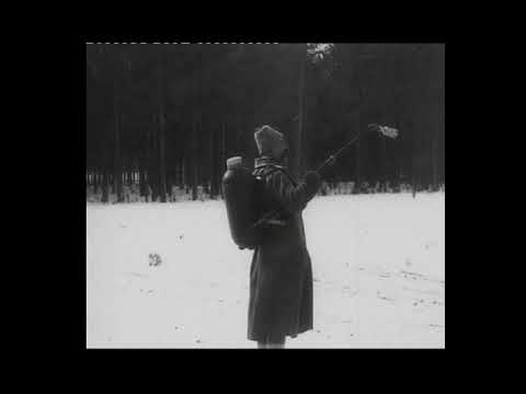 Видео: 1916 - Nikolai 2 in Mohilew / Мікалай 2 у Магілёве