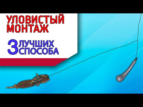 Видео: Уловистый монтаж на окуня! Отводной поводок , три лучших способа !