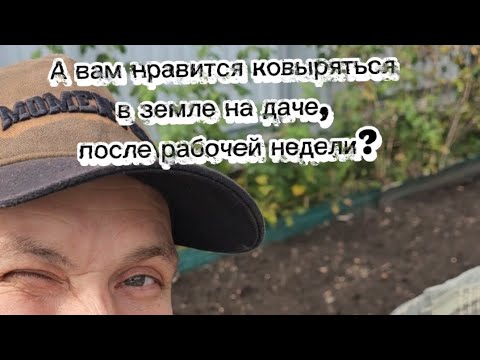 Видео: Лучший отдых после рабочей недели - поковыряться в земле на огороде! 