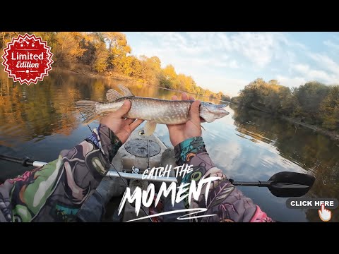 Видео: Спиращ дъха нано джиг риблов по река Марица!  (Част 1) Nano jig fishing