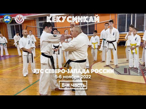 Видео: Кёкусинкай / Учебно-тренировочные сборы СЗФО-2022 / Ката Сайха / Сихан Танюшкин