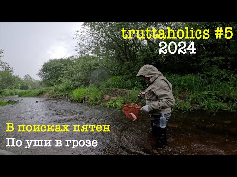 Видео: Вылазка по четырем рекам в поисках пеструшки. Ловля в грозу