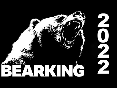 Видео: Лучшие Новые Воблеры от BearKing. Детальный обзор с игрой воблеров.