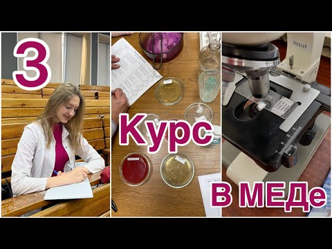 Видео: Учёба в Медицинском Университете на 3 курсе