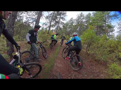 Видео: MV #004 - Zaeva с карачи.ком 19.10.2025