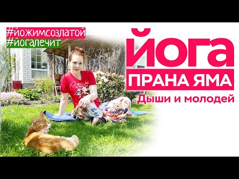 Видео: Прана яма. Мягкая йога-терапия.