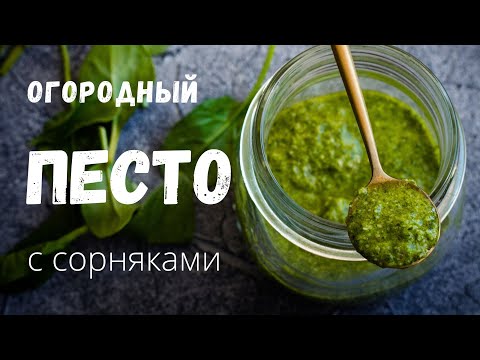 Видео: Ем сорняки и здоровею! Вкусный рецепт из огородных растений и дикоросов #здоровье #пп