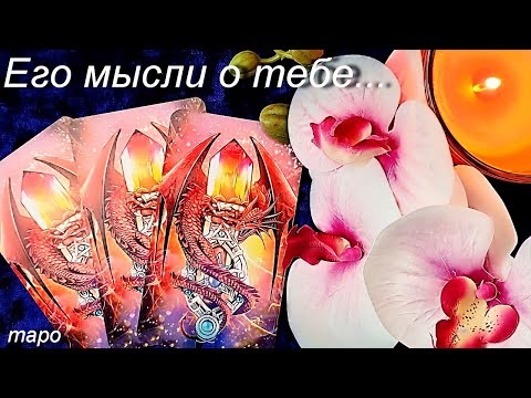 Видео: МЫСЛИ МУЖЧИНЫ О ВАС СЕЙЧАС | Таро гадание онлайн