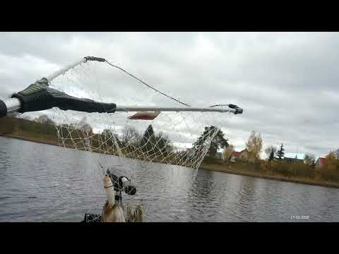 Видео: Воблер OSP Varuna 110SP на малом пруду приносит удачу и удовольствие