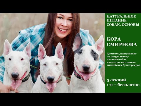 Видео: Переход на натуральное питание собак