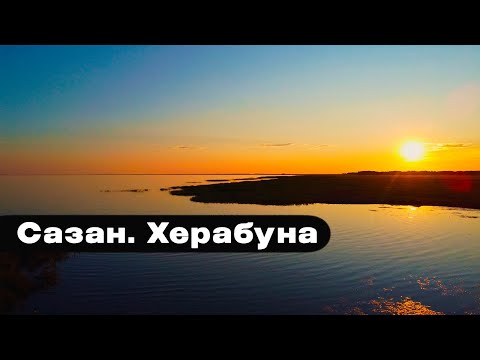 Видео: САЗАН прёт в камыши! Херабуна. САРТЛАН.