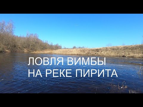 Видео: ЛОВЛЯ ВИМБЫ В ТАЛЛИНЕ