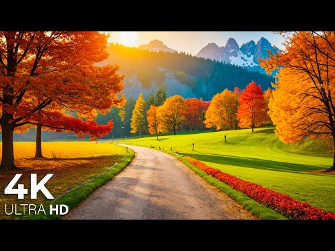 Видео: Музыка исцеляет сердце осенью🍁 Нежная музыка восстанавливает нервную систему и дарит радость душе
