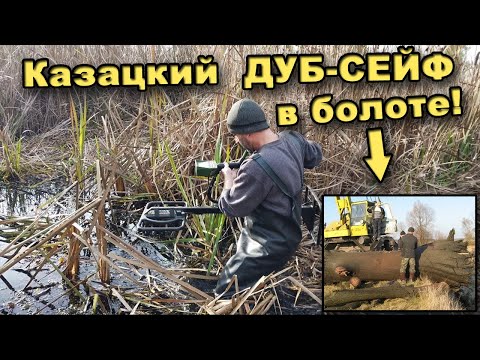 Видео: Поиск КАЗАЦКОГО СЕЙФА в болоте! В поисках сокровищ / In search of treasures