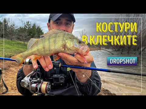 Видео: Костури в клечките. Риболов с монтаж DROPSHOT