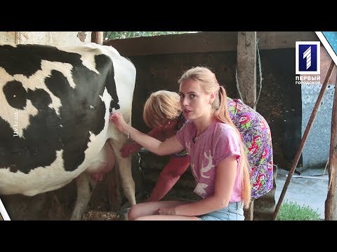 Видео: Село и люди: Глееватка