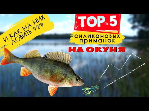 Видео: 🎣 КАК ОБЛОВИТЬ ВСЕХ❓ТОП-5 ПРИМАНОК ДЛЯ МИКРОДЖИГА! 🐟 Ловля окуня на спиннинг