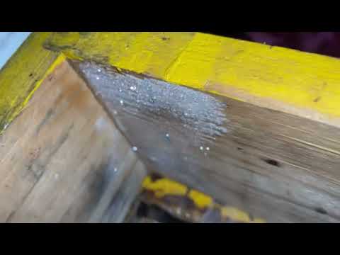 Видео: Особенности зимовки пчёл в омшанике