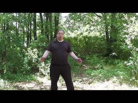 Видео: озеро Исетское река Исеть