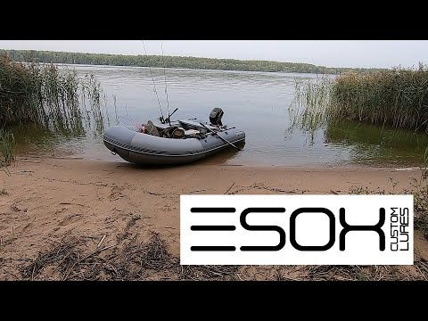 Видео: Первая рыбалка на силиконовые приманки ESOX