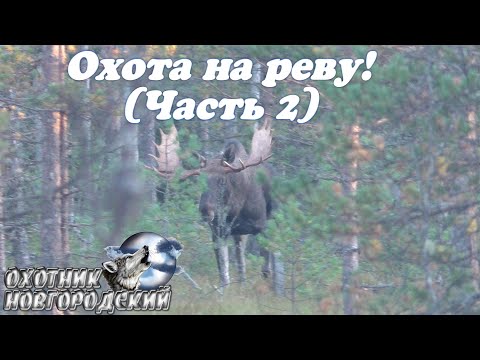 Видео: Охота на Реву! (Часть 2)