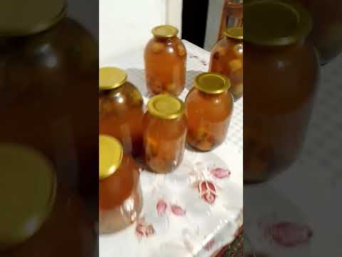 Видео: канпоты из дикой груши 🍐