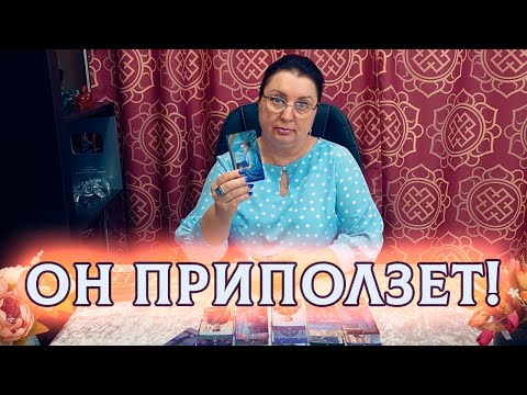 Видео: ОН ПРИПОЛЗЕТ К ВАМ! ЧТО ЕГО ПОСТАВИЛО НА КОЛЕНИ?