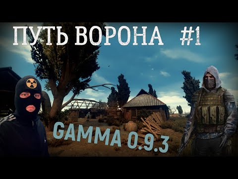 Видео: Путь Ворона. Прохождение сборки GAMMA 0.9.3 S.T.A.L.K.E.R. Anomaly часть #1