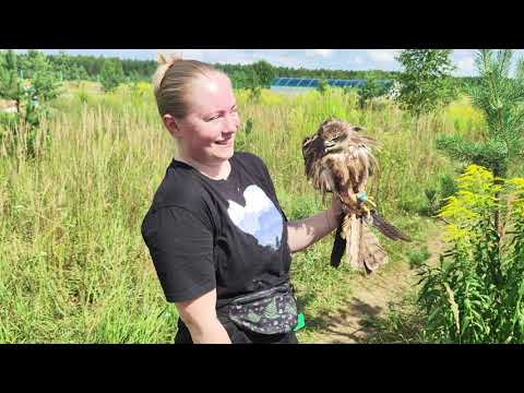 Видео: В "Гнездо" понаехала Лена и всех повыбрасывала - летний архив