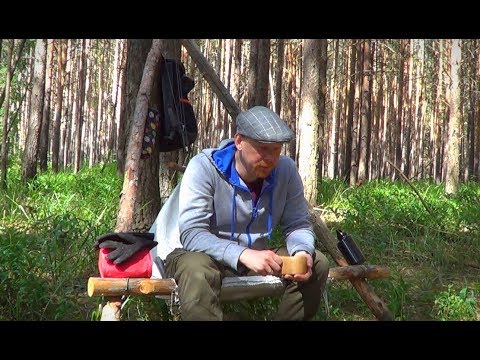 Видео: Прогулка по лесу. Хомячу картошку по-деревенски.