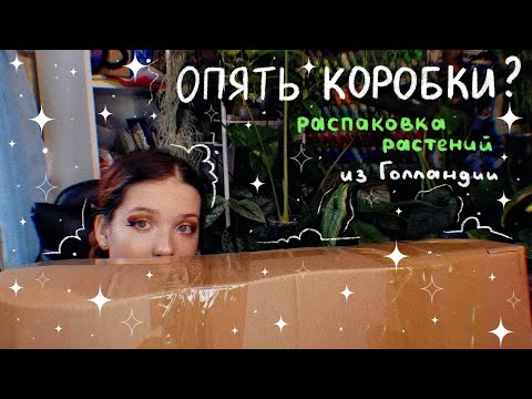 Видео: Приехали НОВЫЕ РАСТЕНИЯ | РАСПАКОВКА закупки