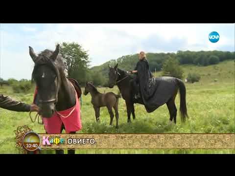 Видео: Директно от рицарска ферма в Искърското дефиле - На кафе (25.06.2018)