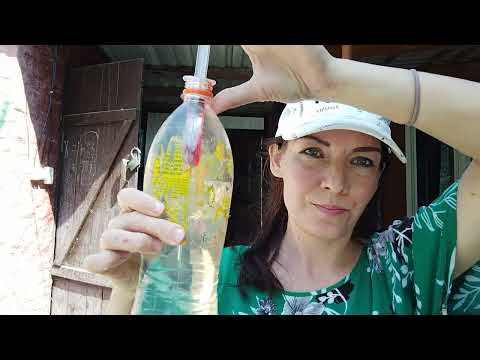 Видео: Как правильно разводить БЕНЗИН с МАСЛОМ для триммера и бензопилы